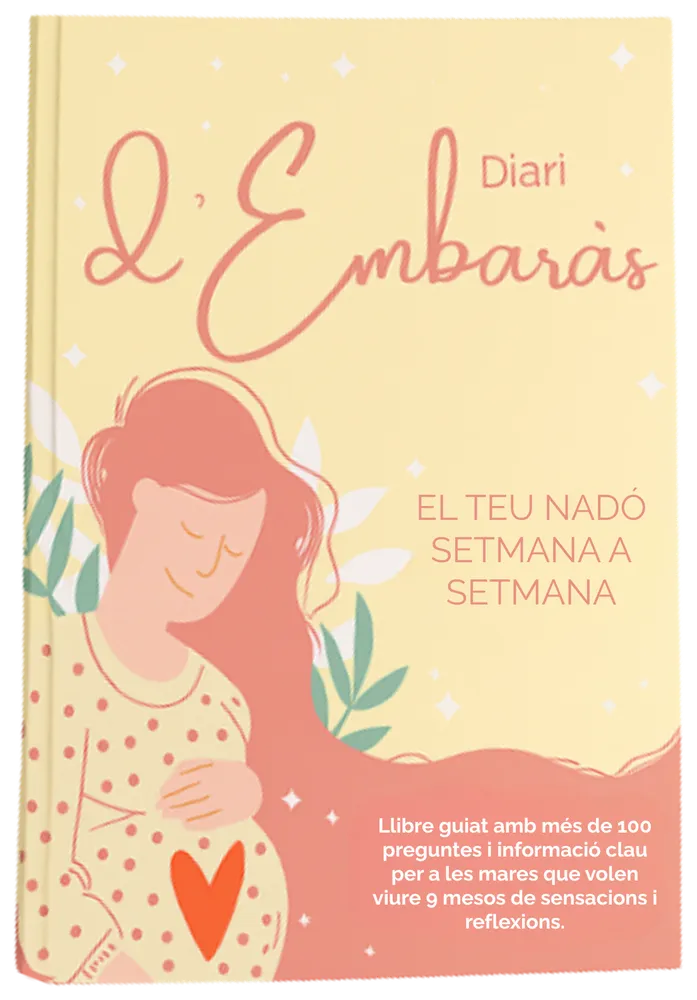 Diari d'Embaràs
